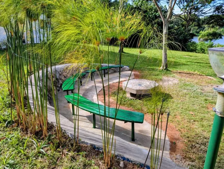 WhatsApp Image 2025-06-16 at 07.39.25_d7f4c141